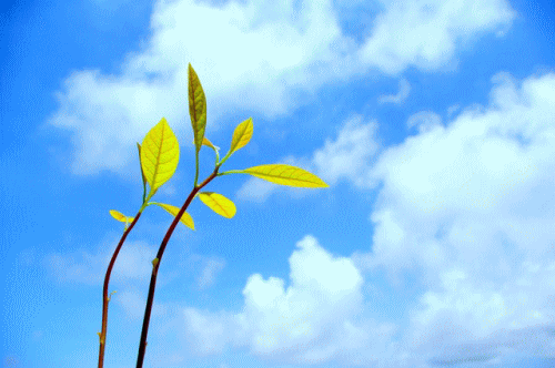 �N���X�E�ǎ��̒��ւ��b�����q�s�E�����n��b